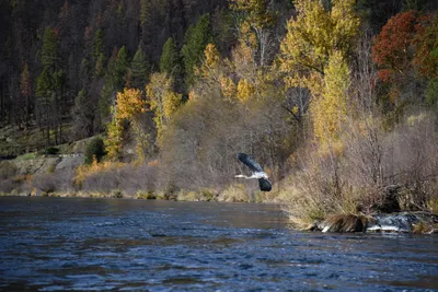 DSC_0246 (Large).JPG